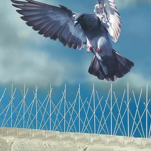 bird spikes in kadapa at low price
