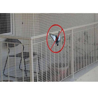 bird control pigeon nets in Kadapa